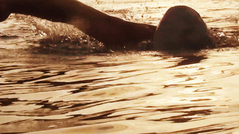 Immagine tratta da 100 Millions Swimming