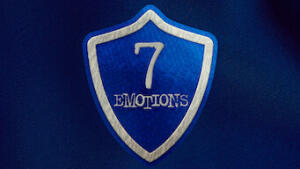 7 Emotions