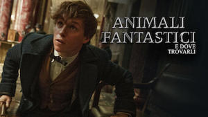Animali fantastici e dove trovarli