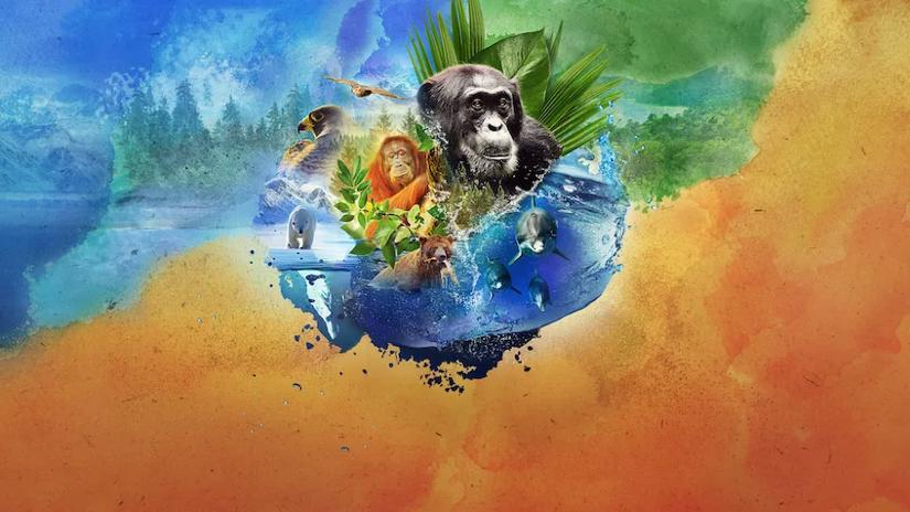 Immagine tratta da Animal: il meraviglioso regno animale