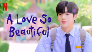 A Love So Beautiful