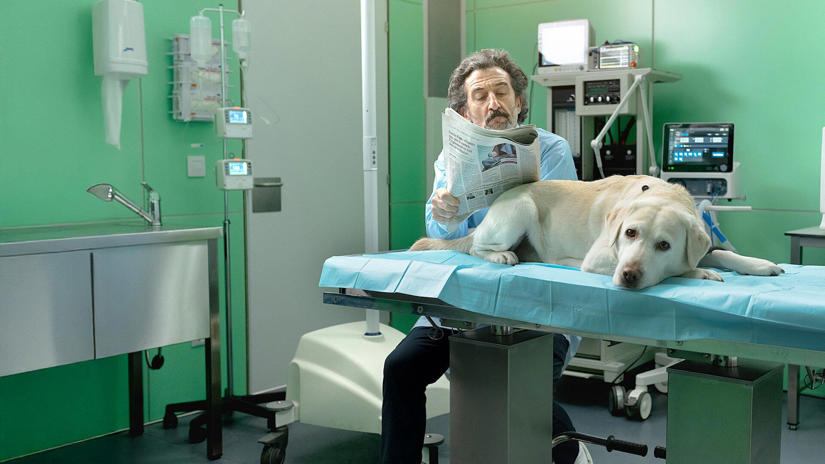 Immagine tratta da Animal