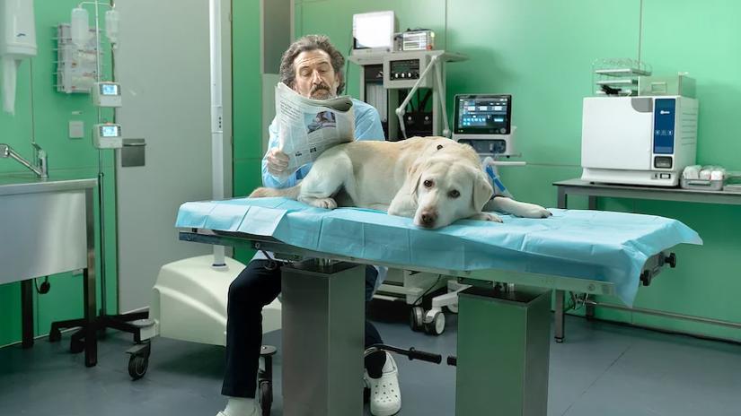 Immagine tratta da Animal