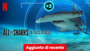 All the Sharks: in cerca di squali