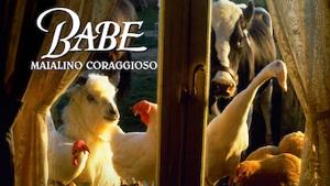 Babe - Maialino coraggioso