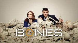 Bones