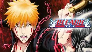Bleach