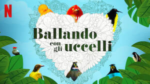 Ballando con gli uccelli