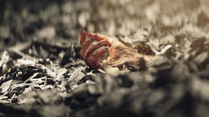 Immagine tratta da Buried Truth: la storia di Indrani Mukerjea