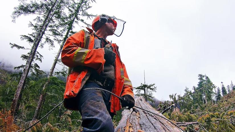 Immagine tratta da Big Timber - I taglialegna