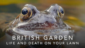 British Garden: Life and Death on Your Lawn