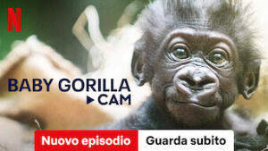 Baby Gorilla Cam