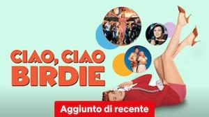 Ciao, ciao Birdie