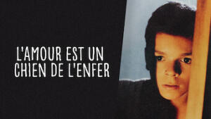 Crazy love - Compagni di sbronza