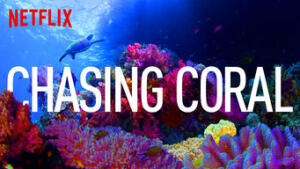 Chasing Coral