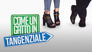 Come un gatto in tangenziale