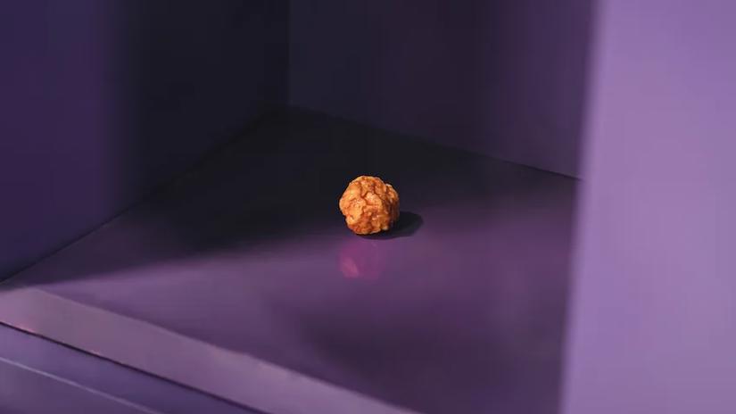 Immagine tratta da Chicken Nugget