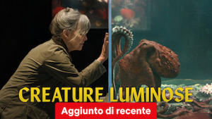 Creature luminose