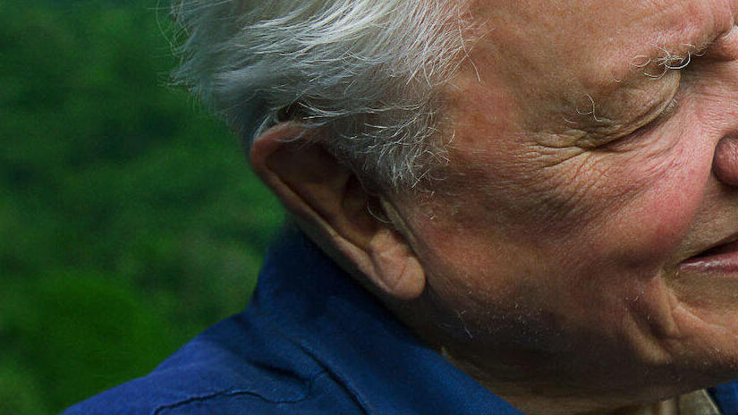 Immagine tratta da David Attenborough: la vita a colori