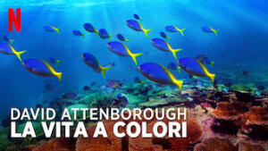 David Attenborough: la vita a colori