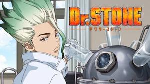 Dr. Stone