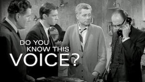 Do You Know This Voice?
