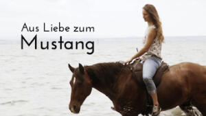 For The Love Of The Mustang