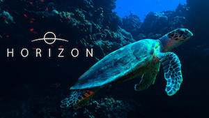 Horizon