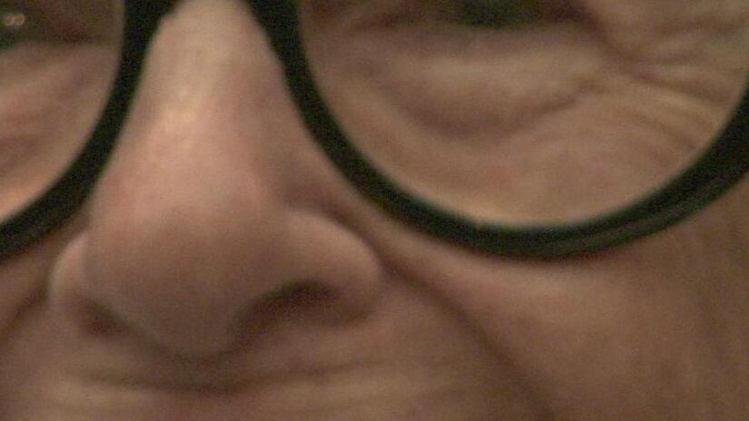 Immagine tratta da Iris