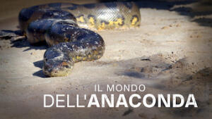 Il mondo dell'anaconda