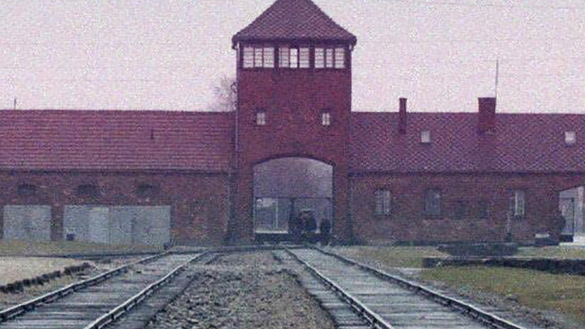 Immagine tratta da Il contabile di Auschwitz