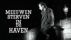 I gabbiani muoiono al porto