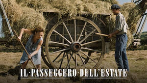 Il passeggero dell'estate