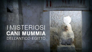 I misteriosi cani mummia dell'Antico Egitto