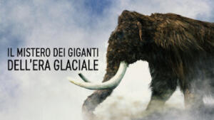 Il mistero dei giganti dell’era glaciale
