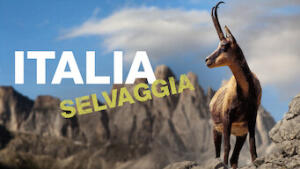 Italia selvaggia