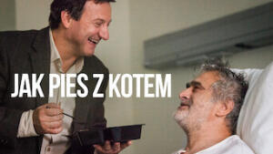 Jak Pies z Kotem