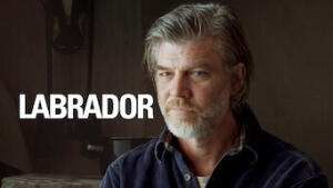 Labrador