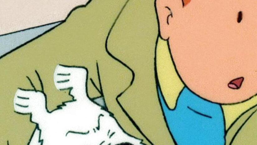Immagine tratta da Le avventure di Tintin