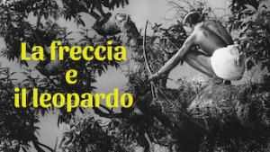 La freccia e il leopardo