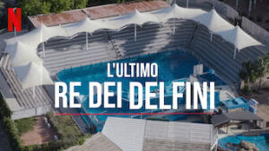 L'ultimo re dei delfini