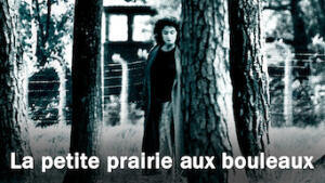 La petite prairie aux bouleaux