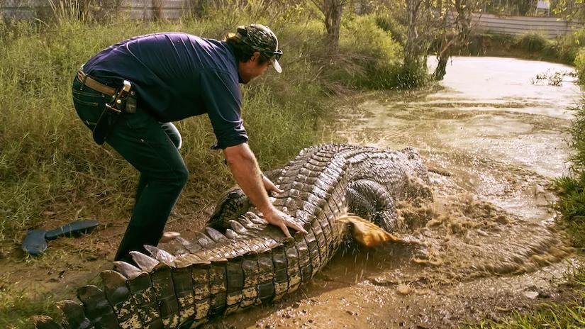 Immagine tratta da L'Australia selvaggia di Matt Wright