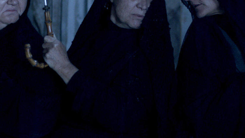 Immagine tratta da Laia