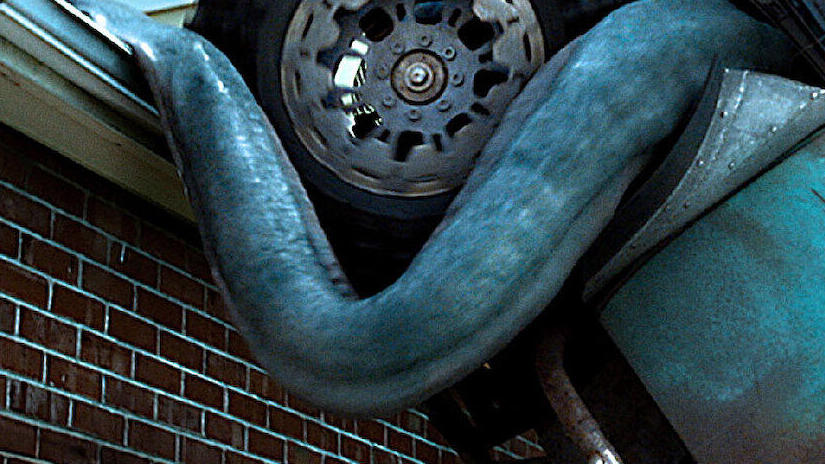 Immagine tratta da Monster Trucks