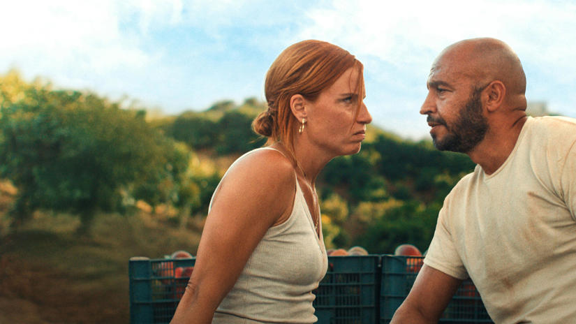 Immagine tratta da Mango Immagine tratta da Mango