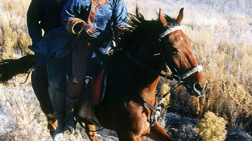 Immagine tratta da Nomad