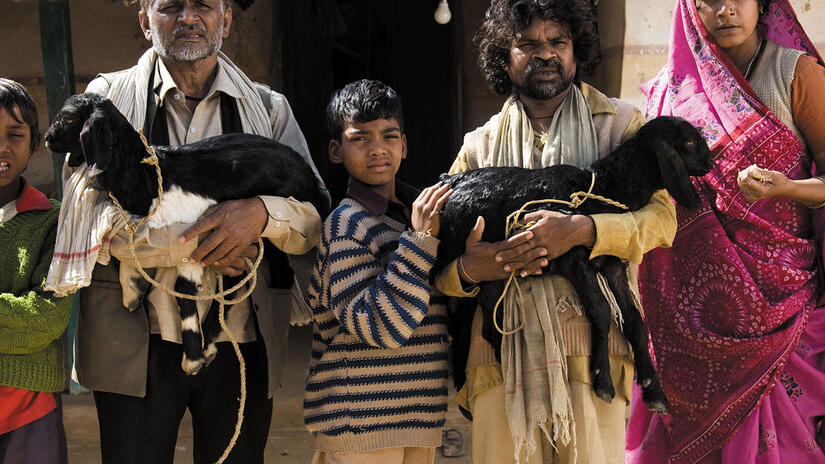 Immagine tratta da Peepli Live