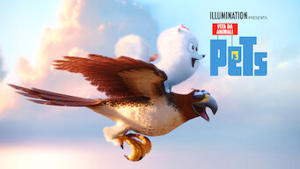 Pets - Vita da animali