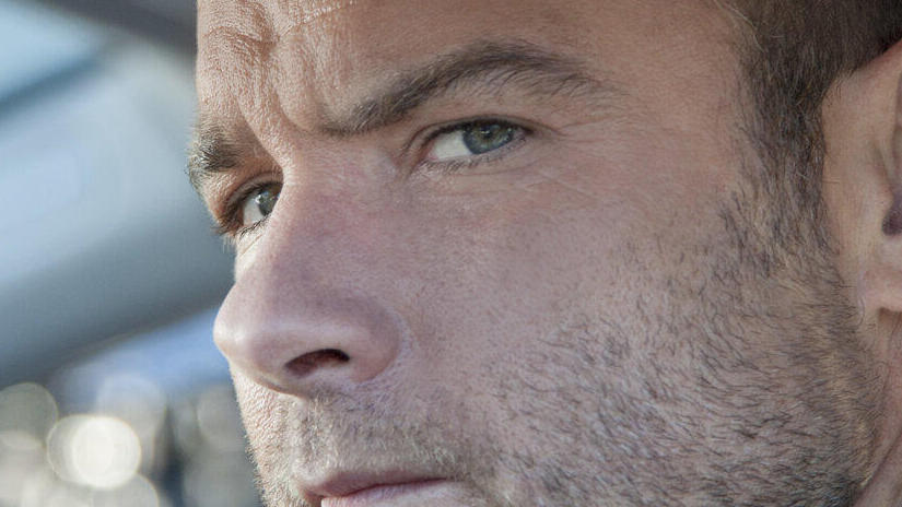 ray donovan tv series netflix lovers united states